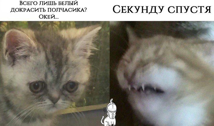 Ñàìûå ïîïóëÿðíûå âîïðîñû Òàòóèðîâùèêàì. Ëèãà ëþáèòåëåé òàòóèðîâêè, Òàòó, Äëèííîïîñò, Ýñêèç òàòóèðîâêè, Òàòó ñàëîí, Ãðóïïà òàòó, Òàòó-Ôåñò