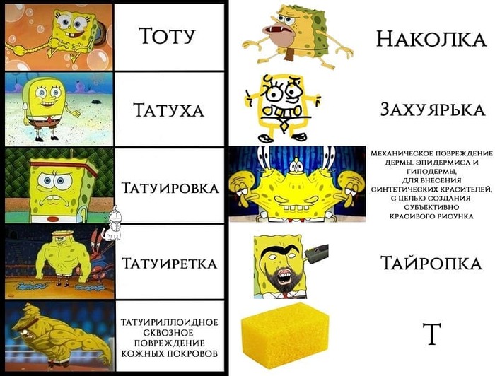 Ñàìûå ïîïóëÿðíûå âîïðîñû Òàòóèðîâùèêàì. Ëèãà ëþáèòåëåé òàòóèðîâêè, Òàòó, Äëèííîïîñò, Ýñêèç òàòóèðîâêè, Òàòó ñàëîí, Ãðóïïà òàòó, Òàòó-Ôåñò