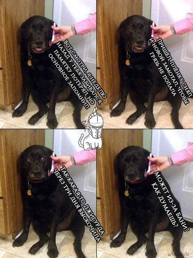 Ñàìûå ïîïóëÿðíûå âîïðîñû Òàòóèðîâùèêàì. Ëèãà ëþáèòåëåé òàòóèðîâêè, Òàòó, Äëèííîïîñò, Ýñêèç òàòóèðîâêè, Òàòó ñàëîí, Ãðóïïà òàòó, Òàòó-Ôåñò