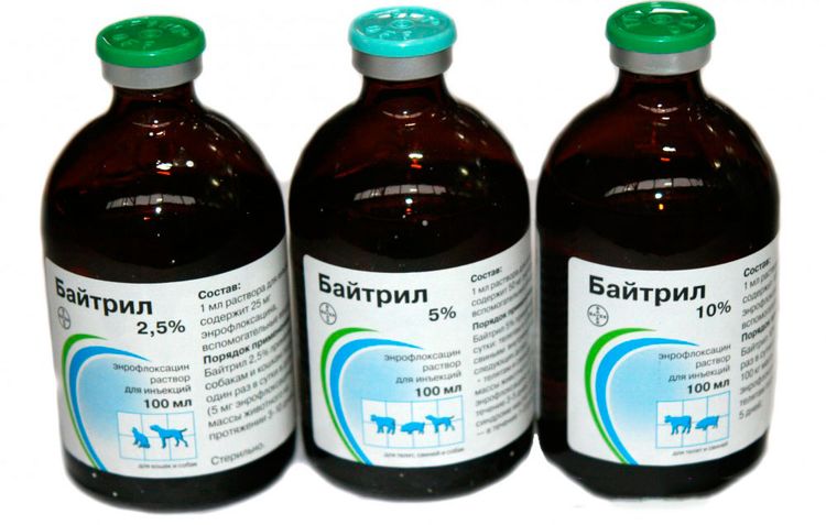 Байтрил для кошек