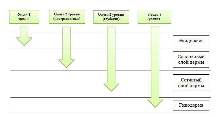 Шрамы от ожогов первой степени